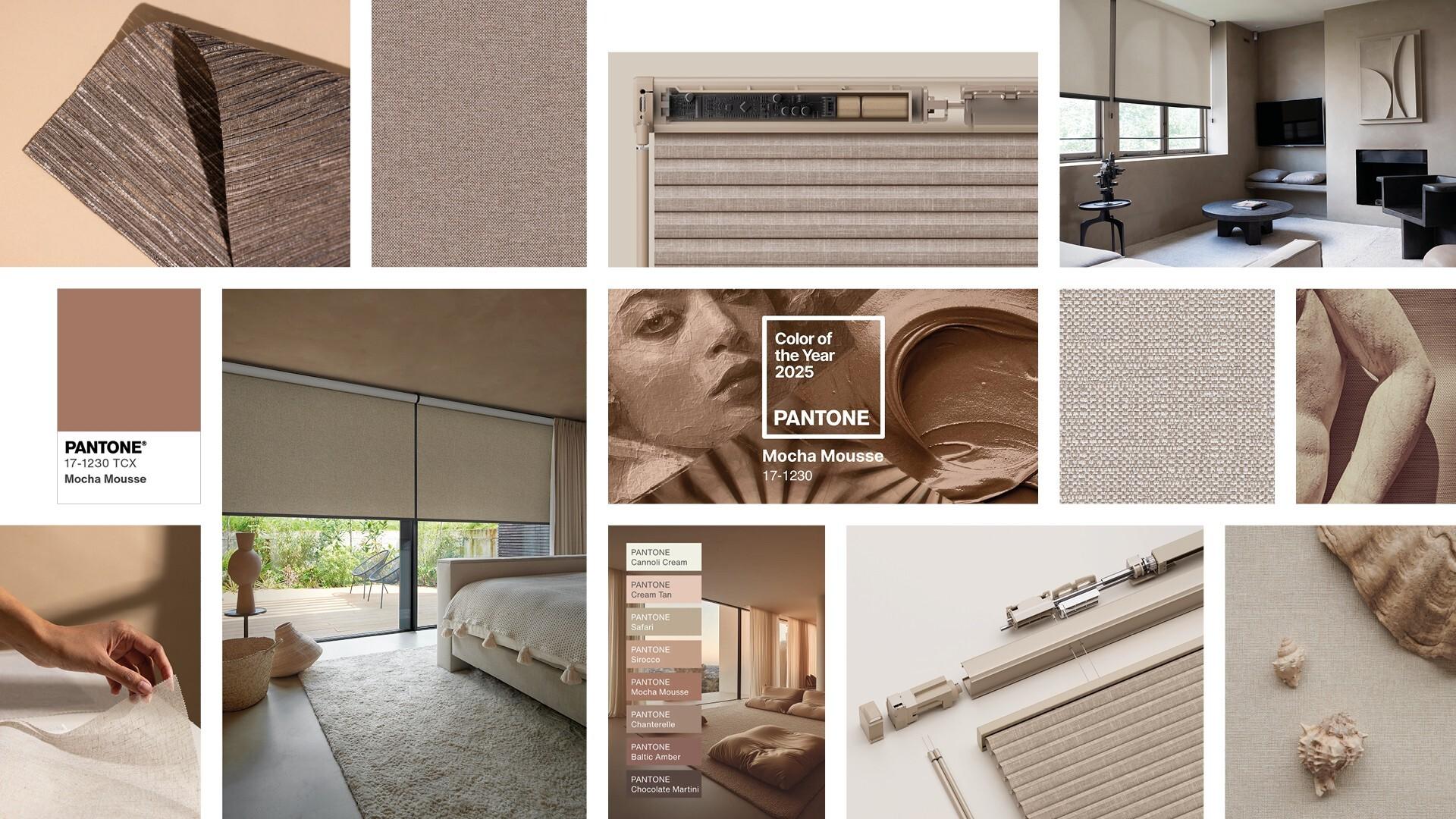 Pantone's 2025 Color of the Year Coulisse